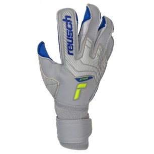 Guanti da portiere Reusch Attrakt Gold X Evolution Cut M 52 70 964 6006