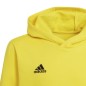 Sweatshirt adidas Entrada 22 Hoody Y Jr HI2142