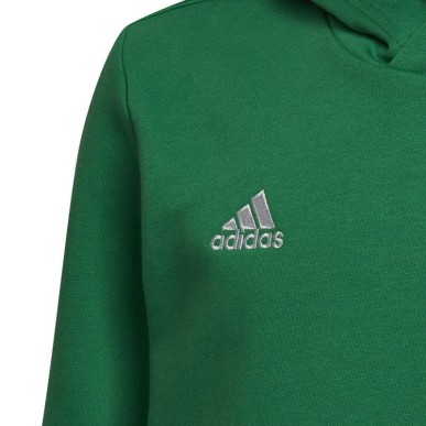 Sweatshirt adidas Entrada 22 Hoody Y Jr HI2143