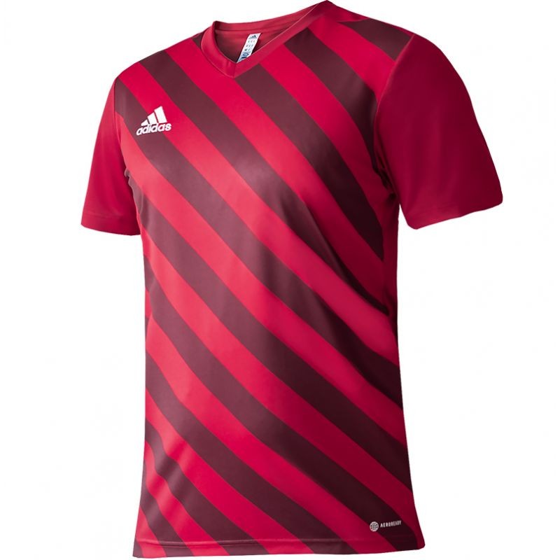 Maglia Adidas Entrada 22 Graphic Jr.H58983