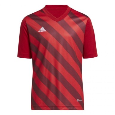 Adidas Entrada 22 Graphic Jersey Jr.H58983