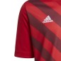 Maglia Adidas Entrada 22 Graphic Jr.H58983