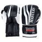 Boxing gloves RPU-CRYSTAL 01562-0210