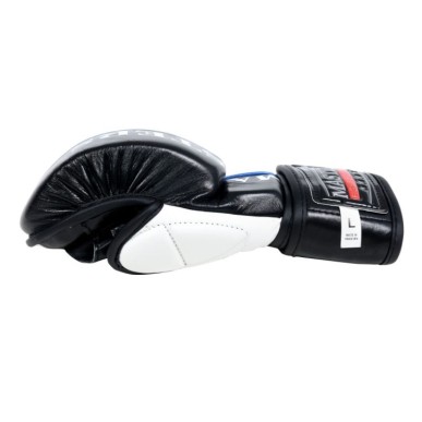 Guanti Masters MMA GFS-10 0110-02M