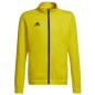 Sweatshirt adidas Entrada 22 Track Jr HI2139