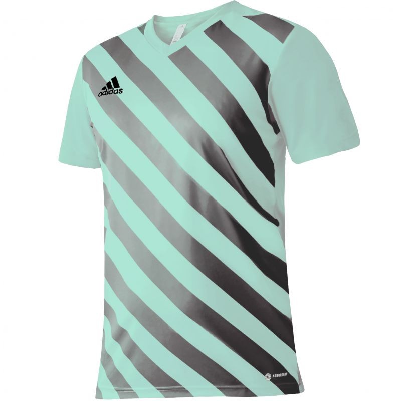 T-shirt adidas Entrada 22 Graphic Jersey Jr HF0127