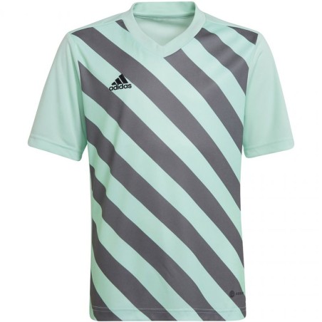 Maglietta adidas Entrada 22 Graphic Jersey Jr HF0127