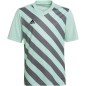 T-shirt adidas Entrada 22 Graphic Jersey Jr HF0127