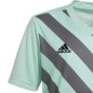 T-shirt adidas Entrada 22 Graphic Jersey Jr HF0127