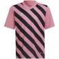 Adidas Entrada 22 Graphic Jersey Jr HC2632