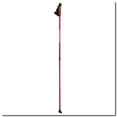 Bastoncini da nordic walking Nils Extreme NW607 ed