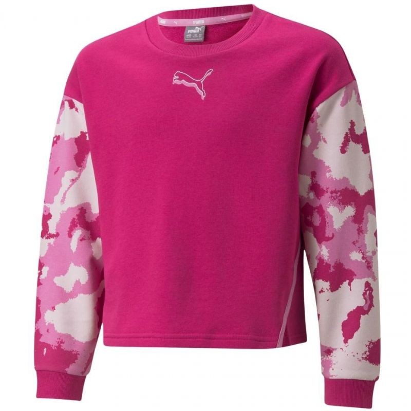 Sweatshirt Puma Alpha Crew TR Jr 846941 14