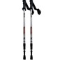 Bastoni da trekking Nils Extreme TK631