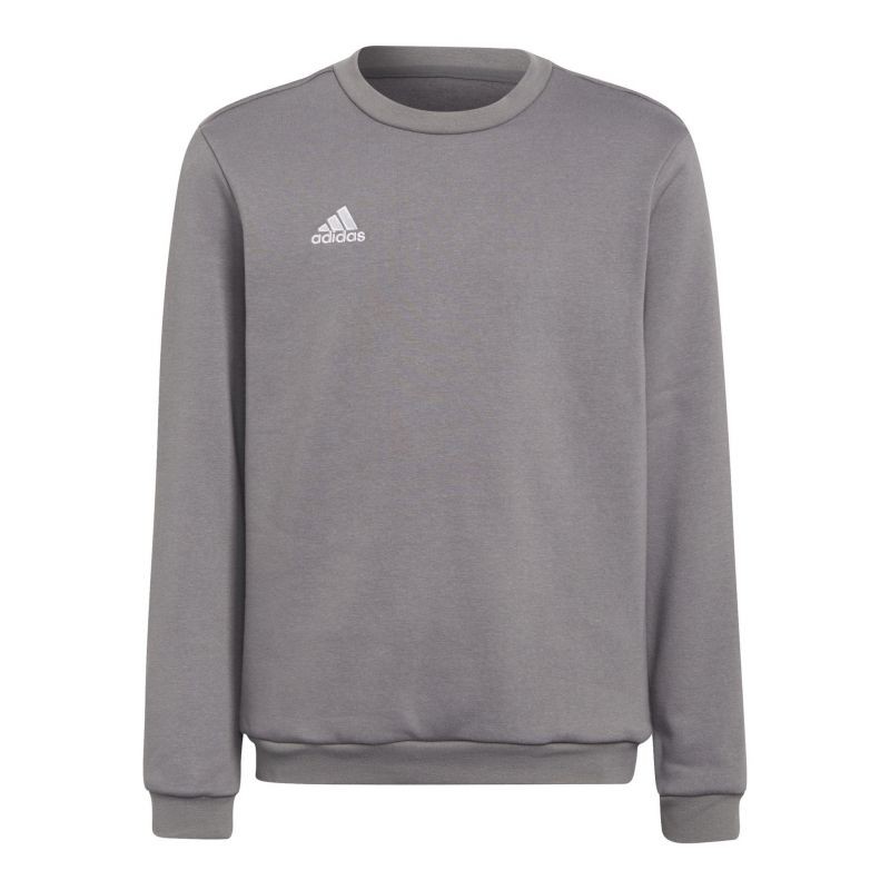 Adidas Entrada 22 Sweat Top Jr H57477 sweatshirt