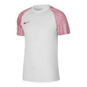 Maglietta Nike Dri-Fit Academy SS M DH8031-100