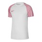 Maglietta Nike Dri-Fit Academy SS M DH8031-100