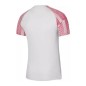 Nike Dri-Fit Academy SS M DH8031-100 T-shirt