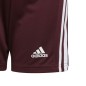 Adidas Squadra 21 Pantaloncini Jr GN8081