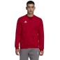 Sweatshirt adidas Entrada 22 Sweatshirt M HB0577