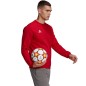 Sweatshirt adidas Entrada 22 Sweatshirt M HB0577