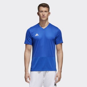 Adidas Condivo 18 TR M CG0352 football jersey