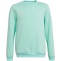 Adidas Entrada 22 Sweat Top Jr HC5042 sweatshirt