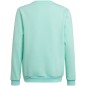 Adidas Entrada 22 Sweat Top Jr HC5042 sweatshirt