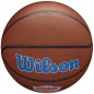 Wilson Team Alliance New York Knicks Ball WTB3100XBNYK