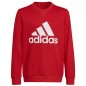 Sweatshirt adidas Big Logo Swt Jr HN1911