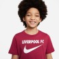 Maglietta Nike Liverpool FC Swoosh Y Jr DJ1535 608