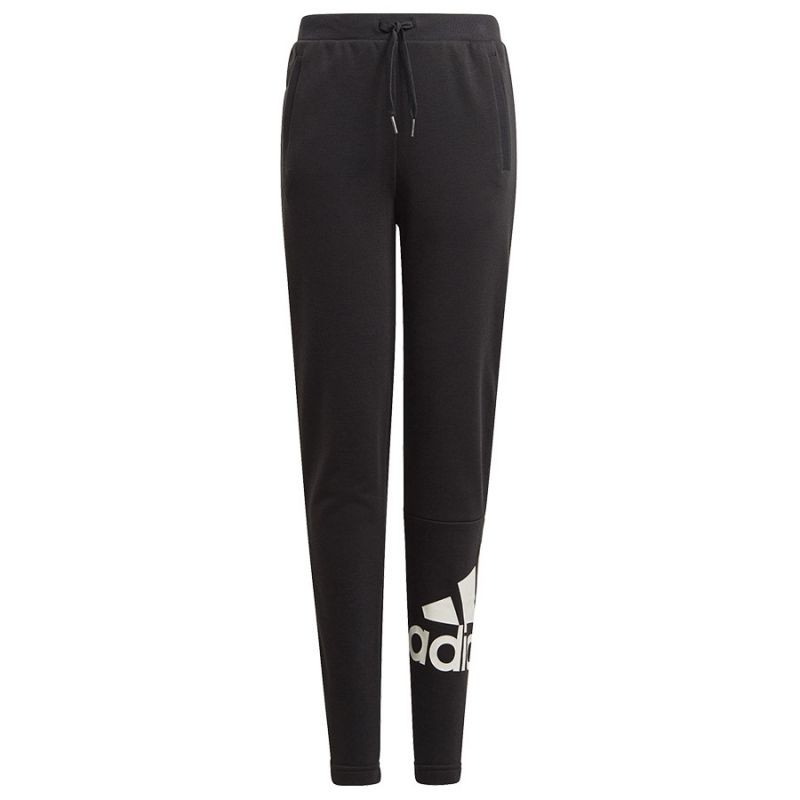 Pants adidas BL FT O PT Jr GN4064