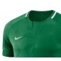 Nike Y NK Dry Chalang II JSY SS Jr 894053 341 T-shirt