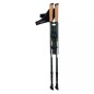 Bastoncini Nordic Walking Elbrus Cliogo 92800350260