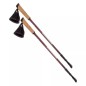 Bastoncini da nordic walking Elbrus Cliogo 92800385398