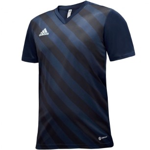 Maglietta adidas Entrada 22 Graphic Jersey Jr HF0122