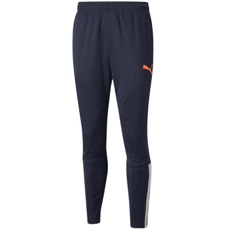 Puma teamLIGA Training Pants M 657242 47