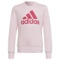 Felpa adidas Big Logo SWT Jr HM8709