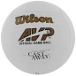 Volleyball Wilson Mr Castaway WTH4615