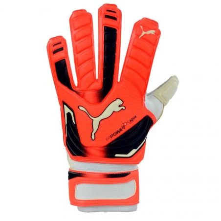 Puma Evo Power Grip 2 Aqua 41145 30 Goalkeeper gloves