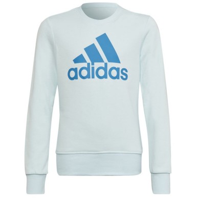 Sweatshirt adidas Big Logo Swt Jr HM8707