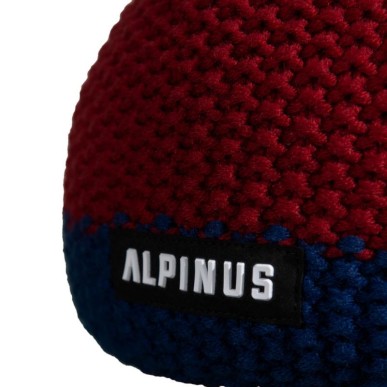 Cappello Alpine Mutenia Thinsulate TT18271