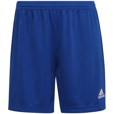 Shorts adidas Entrada 22 W HH9998