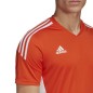 Maglietta adidas Condivo 22 Jersey M HE3059