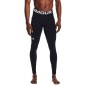 Leggings Under Armour ColdGear M 1366075-001