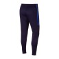 Nike NK Therma SQD Pant KPZ M AQ0350-416 football pants