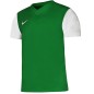 Maglietta Nike Dri-Fit Tiempo Premier 2 M DH8035 302