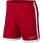 Pantaloncini da calcio Nike Dry Academy M AJ9994-657