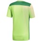 Maglia da calcio Adidas Regista 18 Jersey M CE8973