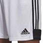 Pantaloncini Adidas Tastigo 19 M DP3247