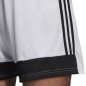 Adidas Tastigo 19 Shorts M DP3247 shorts